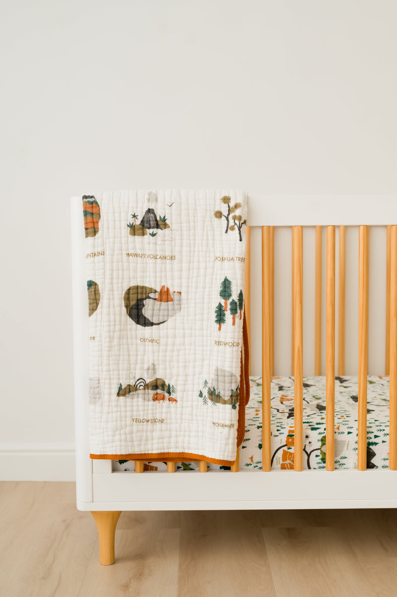 National Parks II Quilt