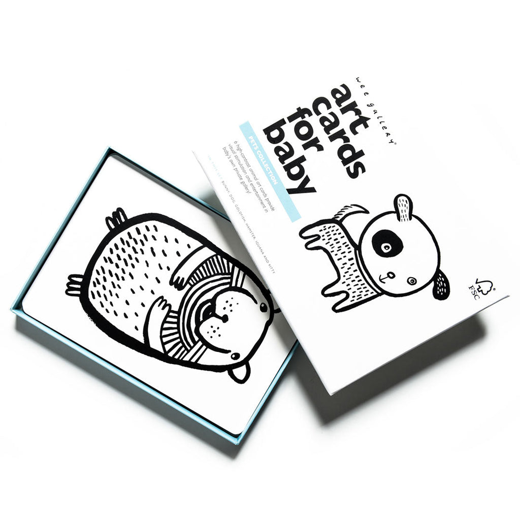 Art Cards for Baby - Pets Collection Art Cards for Baby - Pets Collection