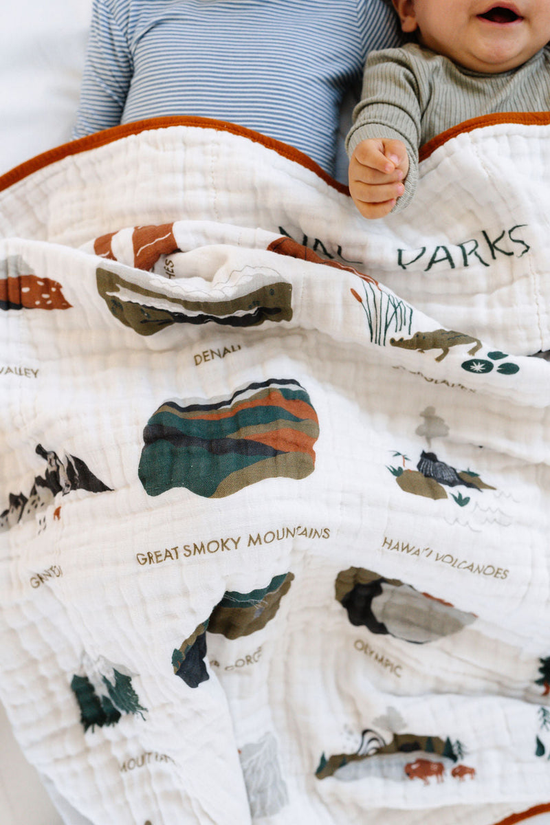 National Parks II Quilt