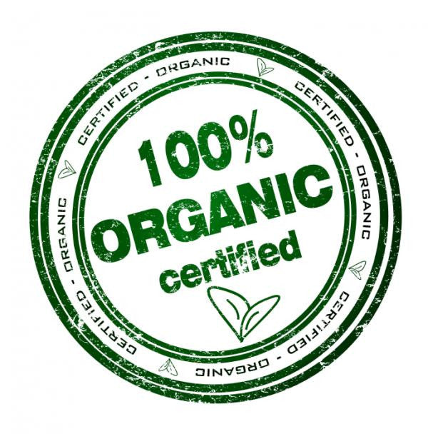 Hey Cutie Orange Organic Baby Onesie®