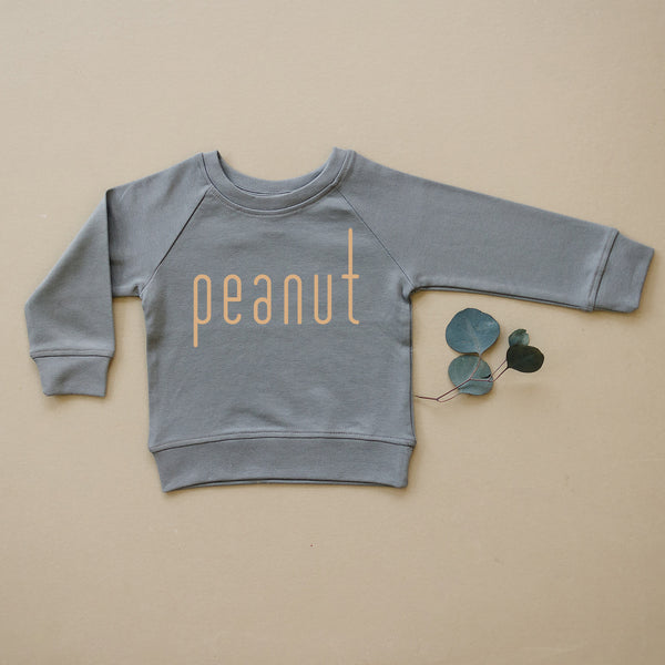 Peanut Organic Baby & Toddler Slate Grey Pullover